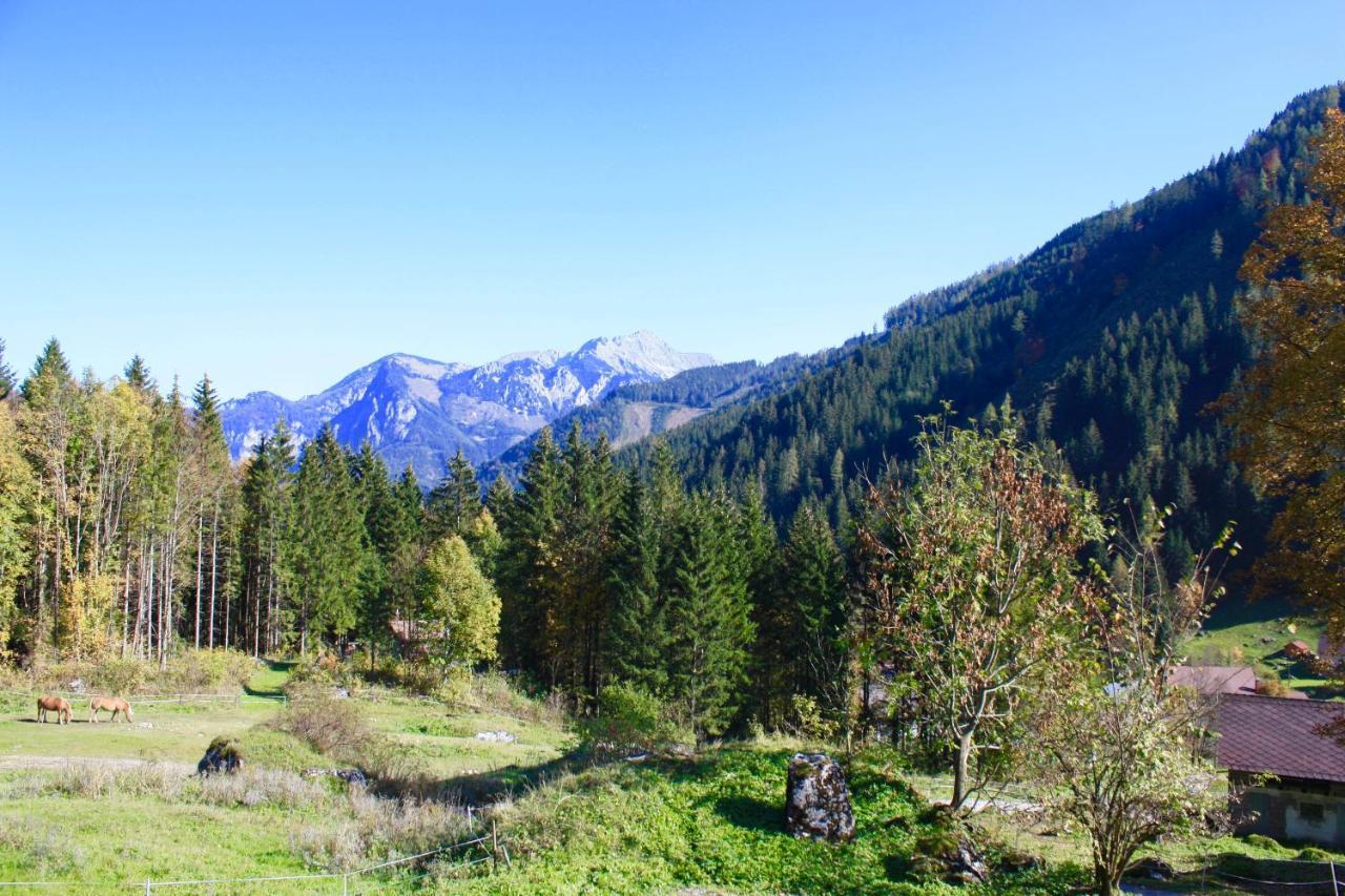 Blockhuette Radmer Villa Radmer an der Hasel Bagian luar foto